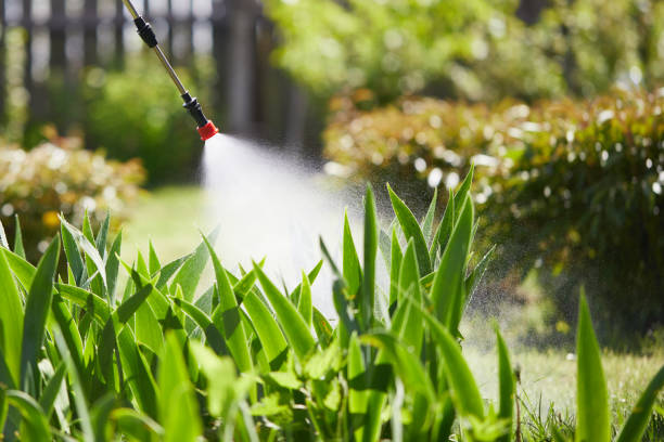 24/7 Emergency Mosquito Control experts in Childersburg, AL