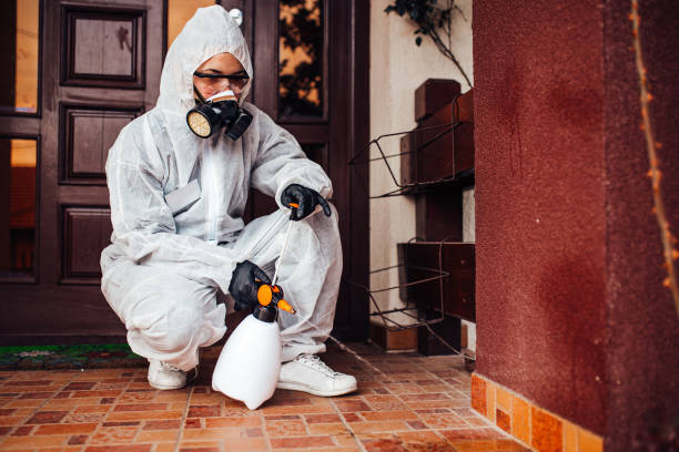 Reliable Mosquito Control contractor in Childersburg, AL by Show Me Pest Control
